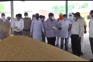 Wheat crop purchase in Ambala