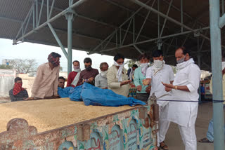 wheat procurement started in susuner of agar district and 70 farmers sold their produce