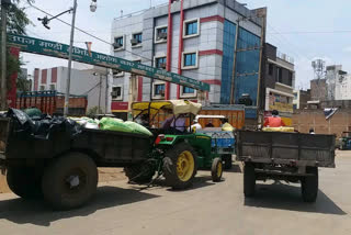 Ashoknagar agricultural produce market