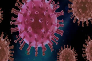 United States records 1,433 Coronavirus deaths