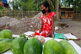 জীৱনৰ বাস্তৱতাই মোহাৰি দিয়া এগৰাকী কণমানিৰ কথা