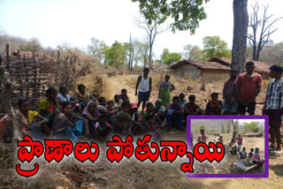 Elusive Diseases in the Adivasi Goode in west godavari