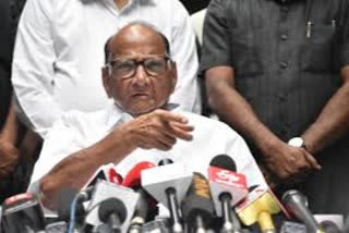 sharad pawar  NCP  Maharashtra  Palghar lynching  പൽഘർ കൊലപാതകം  ശരദ് പവാർ  എൻസിപി