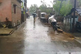 Unseasonal rains increased the cold in sahibganj