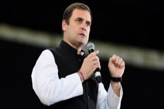 Rahul slams govt for allowing use of rice to make sanitiser