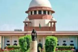 SupSupreme Court refuses direction on food for zoosreme Court