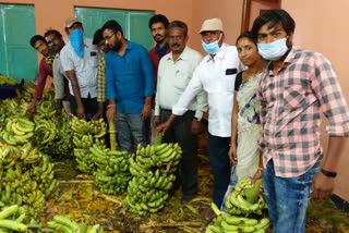 banana distributed in tamballapalle constituency by mla peddireddy dwarakanath reddy