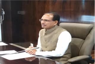 CM gives the responsibility of division to ministers