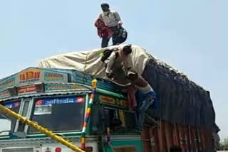 25 laborers who came from Gujarat in a truck