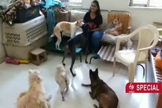 A tekki woman serving a food to street dogs in Bangalore