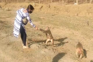 amita giving food to animals