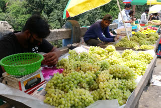 Jalpaiguri Fruit sellers