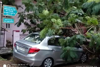 heavy rain fall in shivamogg