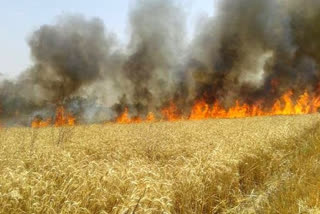 crop caught fire