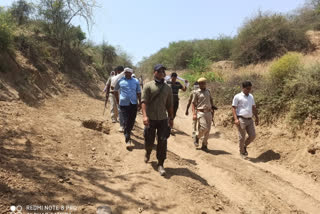 धौलपुर की खबर, search operation