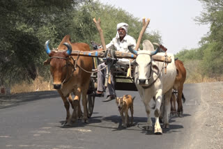 jalgaon