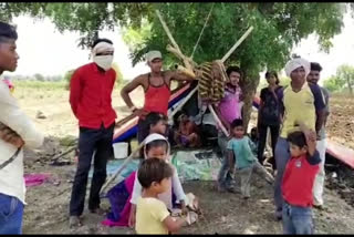 orange cutting workers hunger problem solved