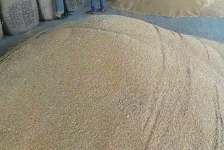 Purchase of wheat after waiting for hours in jind