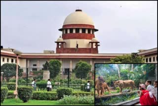 SC refuses to intervene in PIL seeking food supply in zoos