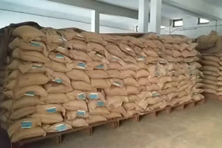 State Seed Development Agency Making arrangements to supply seeds