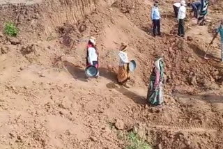 umaria-collector-started-the-work-of-mgnrega