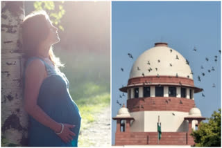 Pregnant woman approaches SC seeking return to India