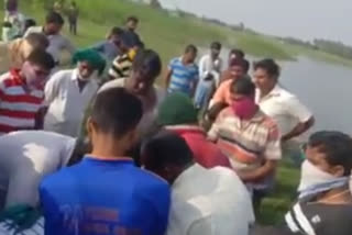 Mysore people hurry in buying fish