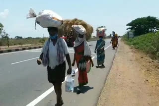 problems of migrant labourers in ap state