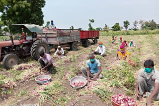 जळगाव