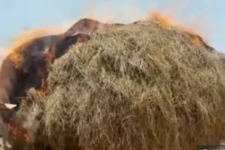 rice paddy grass burned in a fire accident at jakkuva