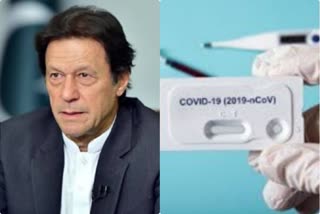Pak PM Imran tests for COVID-19: report