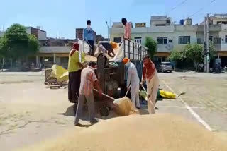 Amritsar's bhagatnvala received first-ever wheat during lockdown