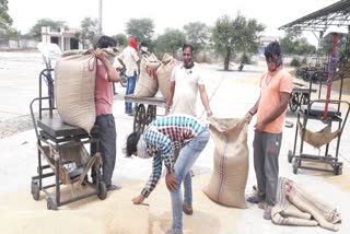 wheat procurement