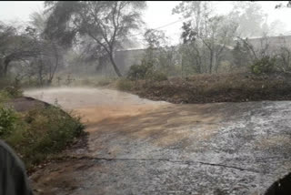 Rain fell in different parts of Takhatpur in Bilaspur