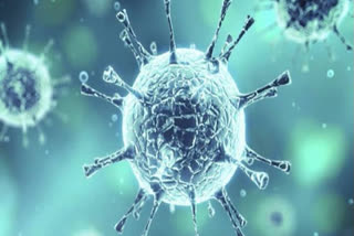 coronavirus victims reached in 1412 in uttar pradesh