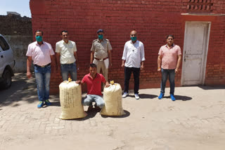 Drug smuggler arrested with 60 kg of hemp in Jind