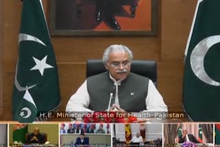 Proposed by Pak, SAARC nations to hold video conference