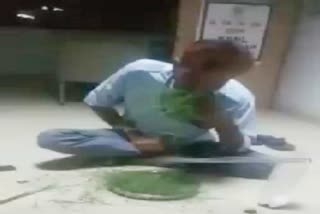 security guard eat grass due to no money in gurugram