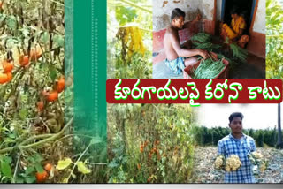 vizianagaram dst farmers problems  due to lockdown