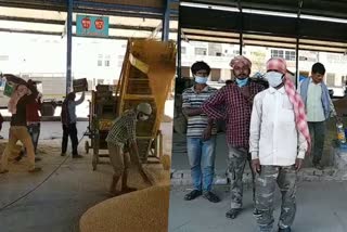 Chandigarh Migrant laborers got work due to Grain purchase in mandis