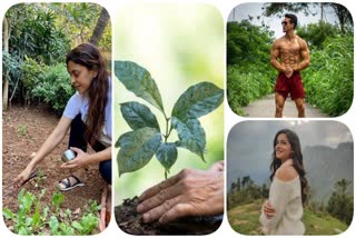 ಬಾಲಿವುಡ್ ತಾರೆಯರ ವಿಶ್ವ ಪರಿಸರ ದಿನ, Bollywood stars celebrates world earth day