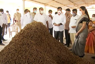 Deputy Chief Minister Amjad basha Established termeric Purchasing Center in Kadapa