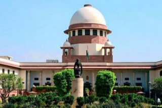 Plea in SC seeking to declare gov order of full payment of wages as unconstitutional