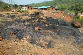 three-fodder-depots-of-the-cowshed-at-lotte-caught-fire