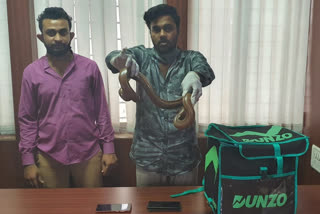 Central Crime Branch Dunzo delivery boys Sand Boa snakes Two boys masquerade as delivery boys arrested സാൻഡ് ബോവ പാമ്പ് രണ്ട് തലയുള്ള സാൻഡ് ബോവ പാമ്പ് ഡെലിവറി ബോയിസ്