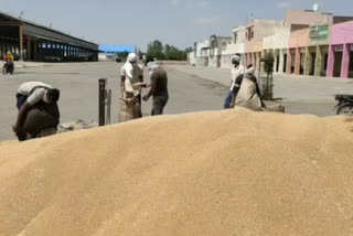 farmers started selling crop after adhati strike ended in panipat mandi