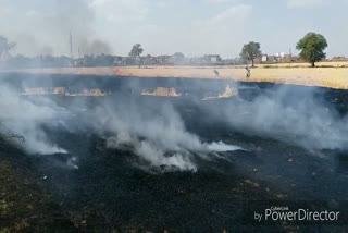 A fire broke out in the wheat harvest