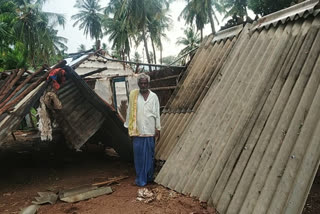 Peanuts, millet destroyed by rain in chitradurga