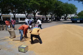 Strike of traders ends in Gohana Grain Market