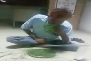 viral video of man eating grass on social media in gurugram